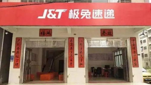 装修小白必看，如何挑选合适的白乳胶品牌