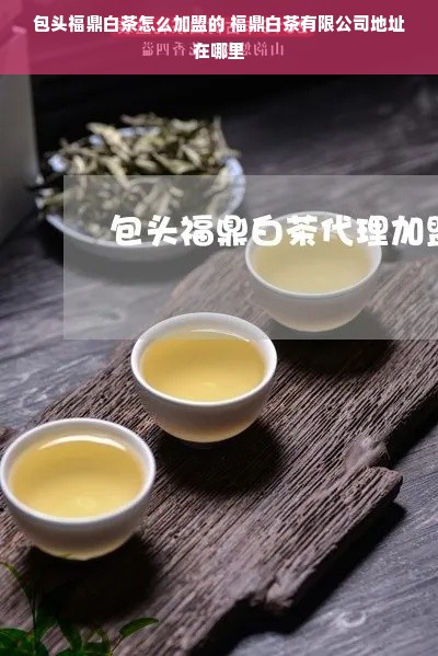 包头福鼎白茶怎么加盟的 福鼎白茶有限公司地址在哪里