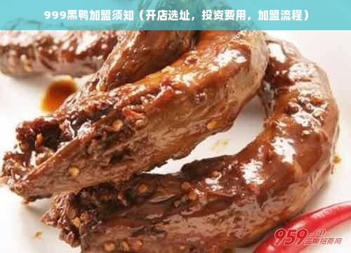 999黑鸭加盟须知（开店选址，投资费用，加盟流程）