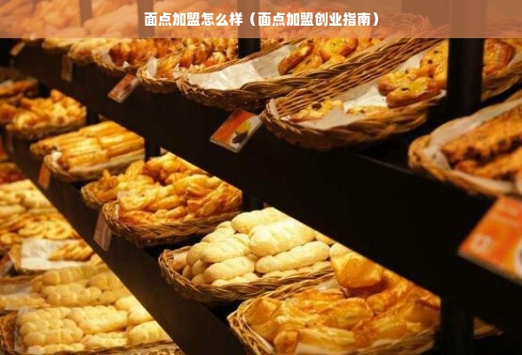母婴细分品牌，深度解析与实例探究