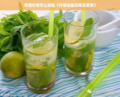 有颗柠檬怎么加盟（柠檬加盟流程及费用）