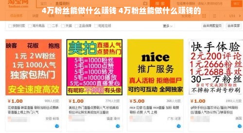 4万粉丝能做什么赚钱 4万粉丝能做什么赚钱的