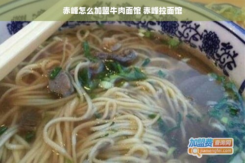 日式墙布品牌精选指南