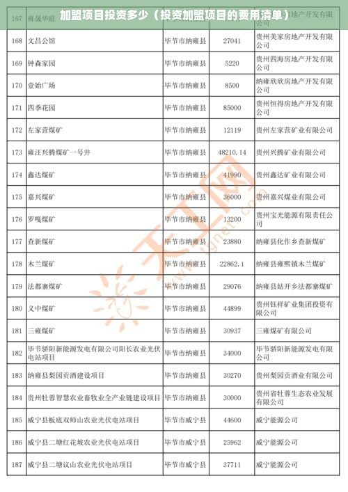 加盟项目投资多少（投资加盟项目的费用清单）