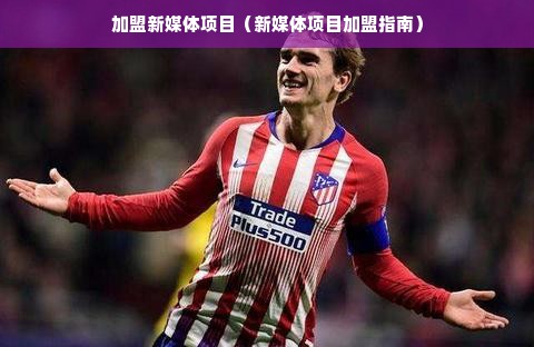 加盟新媒体项目（新媒体项目加盟指南）