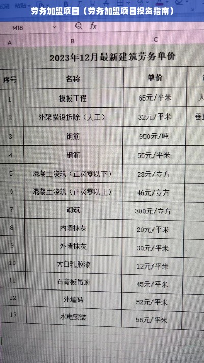 劳务加盟项目（劳务加盟项目投资指南）