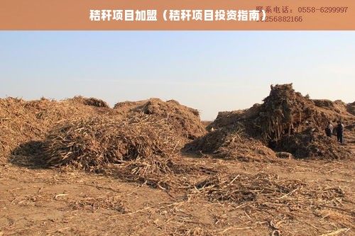 秸秆项目加盟（秸秆项目投资指南）