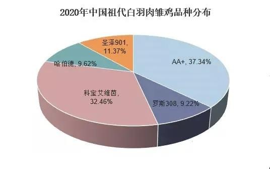 医药品牌推广部职责详解，如何打造品牌影响力？