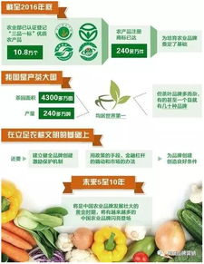 公寓油漆选购指南，盘点几款受欢迎的品牌及特点