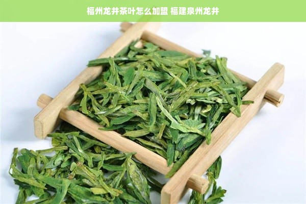 黑龙江早教加盟排名榜，热门品牌与成功案例解析