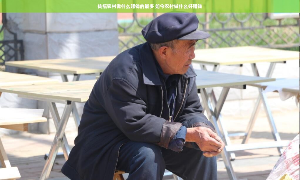 传统农村做什么赚钱的最多 如今农村做什么好赚钱