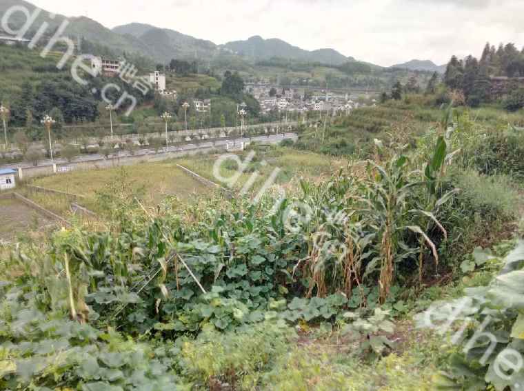 顺义白条套现攻略，轻松解决资金周转难题