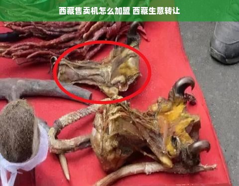 食堂厨具品牌折扣全攻略，如何用对预算买对装备？