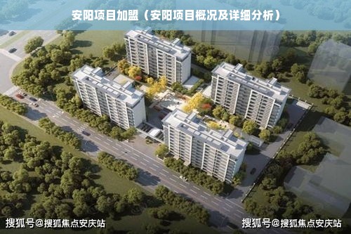 羊小咩便荔卡包额度攻略详解，如何巧妙套出额度，使用指南全解析