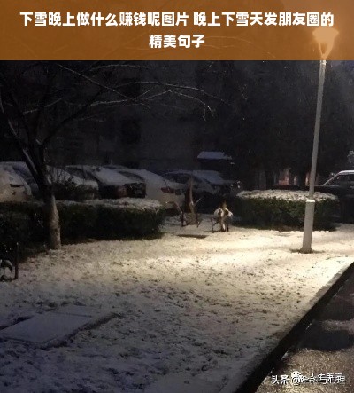 下雪晚上做什么赚钱呢图片 晚上下雪天发朋友圈的精美句子