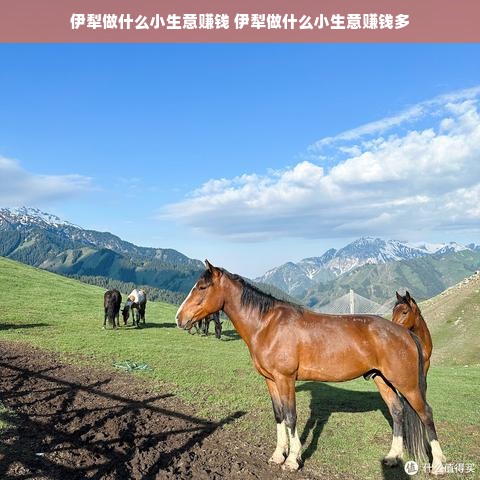 伊犁做什么小生意赚钱 伊犁做什么小生意赚钱多
