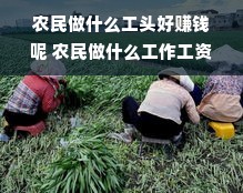 羊小咩享花卡退款后如何提现？一文全解析（含案例与表格）