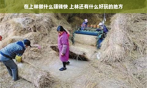 淘宝先用后付额度被套现？额度突然消失怎么办？一篇说透所有套路和解决办法