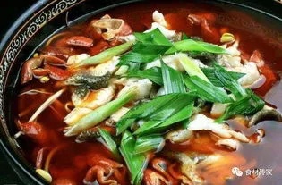 普定酸菜肥肠鱼怎么加盟 普定酸菜肥肠鱼怎么加盟店