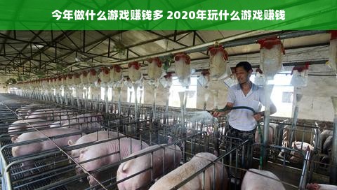 今年做什么游戏赚钱多 2020年玩什么游戏赚钱
