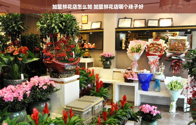 加盟鲜花店怎么加 加盟鲜花店哪个牌子好