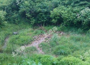 10亩地做什么好呢赚钱 10亩地做什么项目
