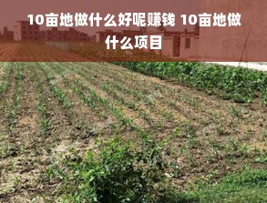 创业干洗店，如何选择优质品牌？揭秘干洗界明星品牌！