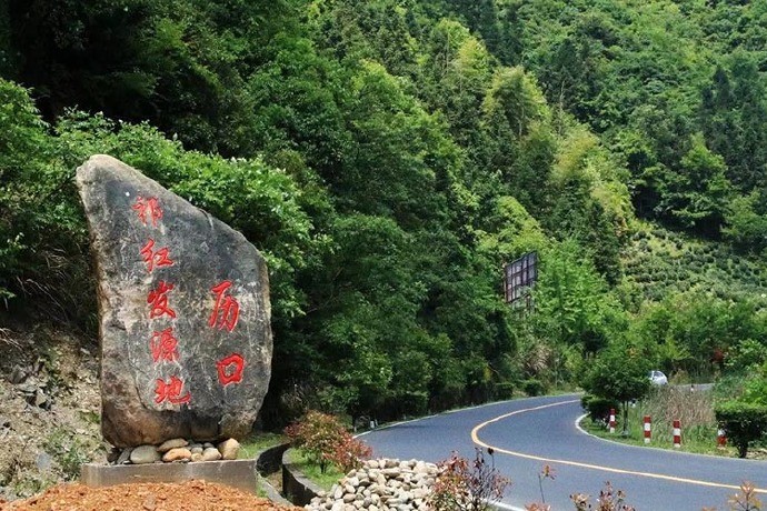 泰州祁门红茶怎么加盟代理 祁门红茶厂家电话