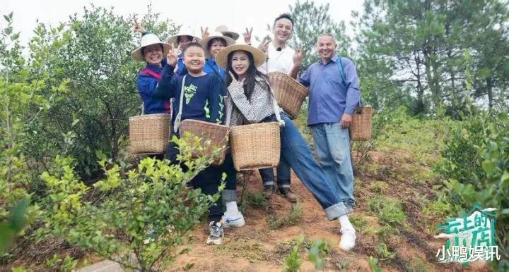 2023年小众茶饮宝藏指南，独立茶叶品牌推荐+避坑攻略
