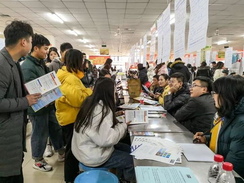 和大学合作做什么工作赚钱 和大学合作做什么工作赚钱多