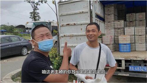 兰州油漆品牌推荐，品质生活从选对油漆开始