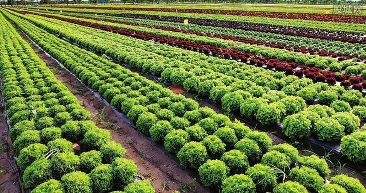 羊小咩便荔卡额度提现与提升攻略—商家必备秘籍