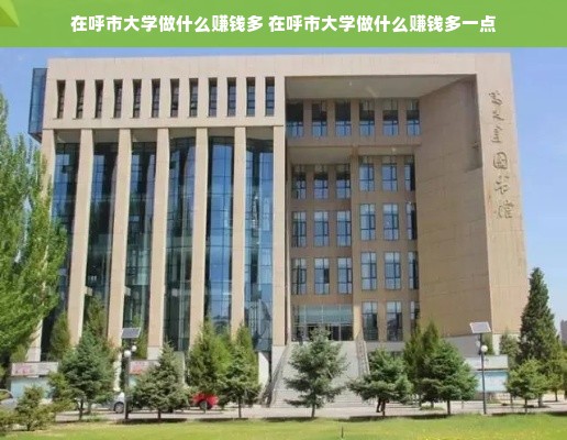 在呼市大学做什么赚钱多 在呼市大学做什么赚钱多一点