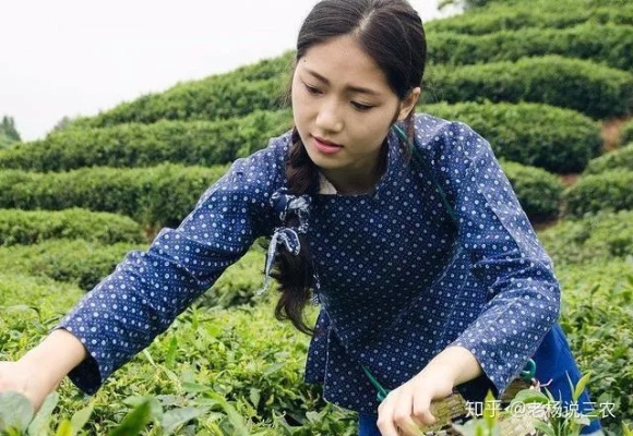 医药品牌促销实战攻略，如何玩转促销大战？