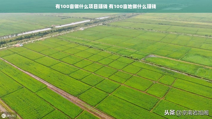 有100亩做什么项目赚钱 有100亩地做什么赚钱