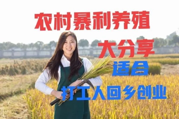 农村创业做什么好视频赚钱 农村创业视频大全