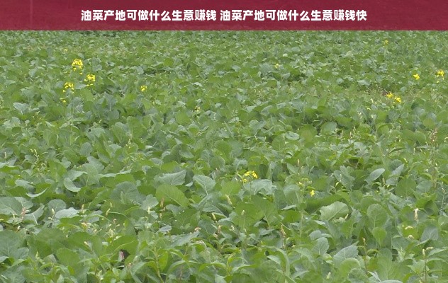 京东白条额度如何套现？