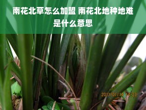 南花北草怎么加盟 南花北地种地难是什么意思