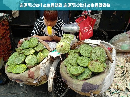 连蓬可以做什么生意赚钱 连蓬可以做什么生意赚钱快
