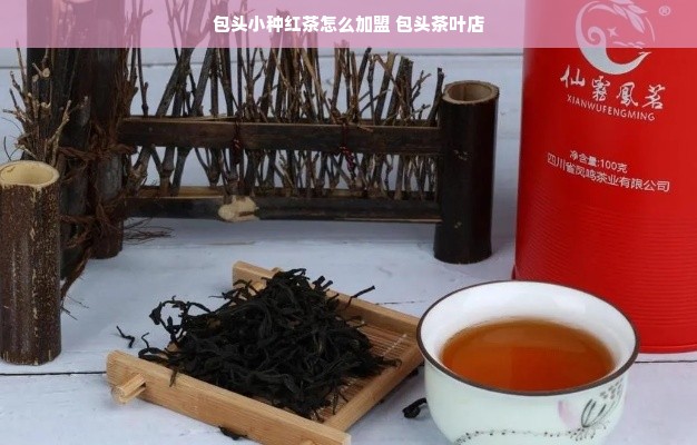 白云山医药品牌，传承与创新的力量展现