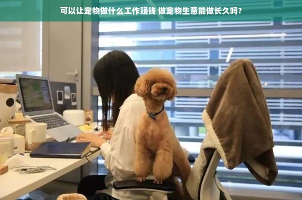 可以让宠物做什么工作赚钱 做宠物生意能做长久吗?