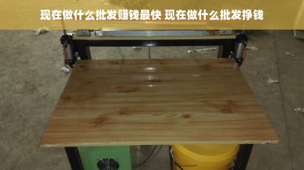 现在做什么批发赚钱最快 现在做什么批发挣钱