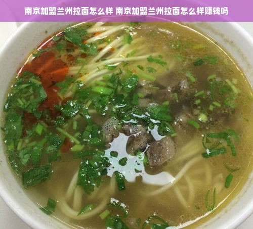 鹿优选额度怎么查？手把手教你轻松搞定！