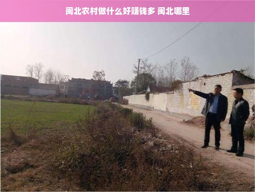 快麦打印机，揭秘这个新兴打印品牌的市场表现与用户评价