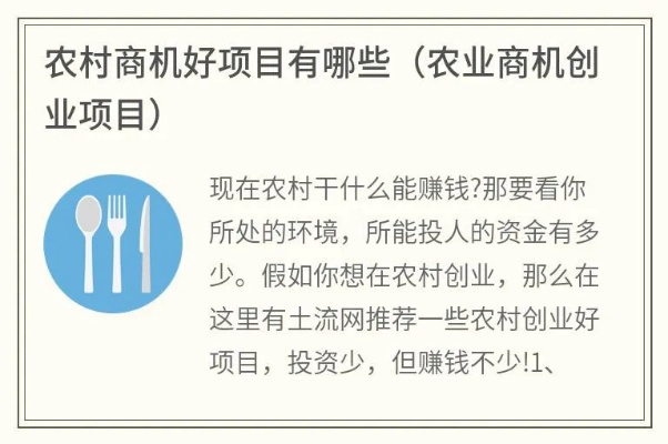 赚钱的商机农村做什么创业 适合农村致富商机