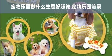 宠物乐园做什么生意好赚钱 宠物乐园前景