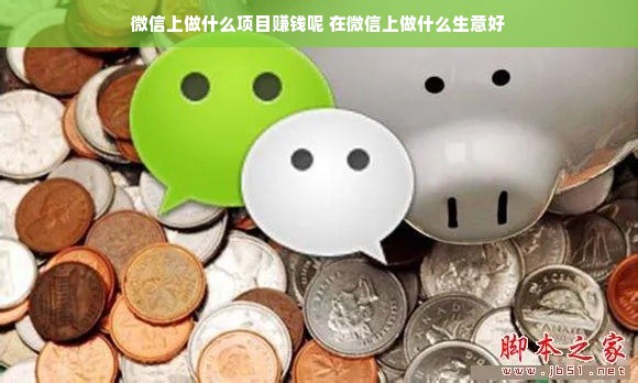 微信上做什么项目赚钱呢 在微信上做什么生意好