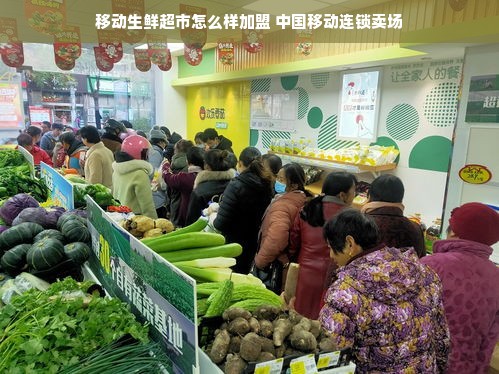 重庆干洗店品牌加盟攻略，如何选择优质品牌，开启创业之路