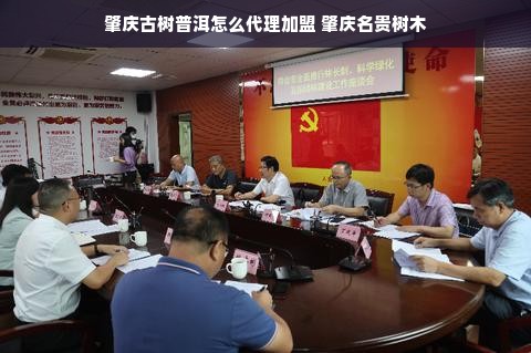 揭秘京东白条，额度如何提升与套出操作详解