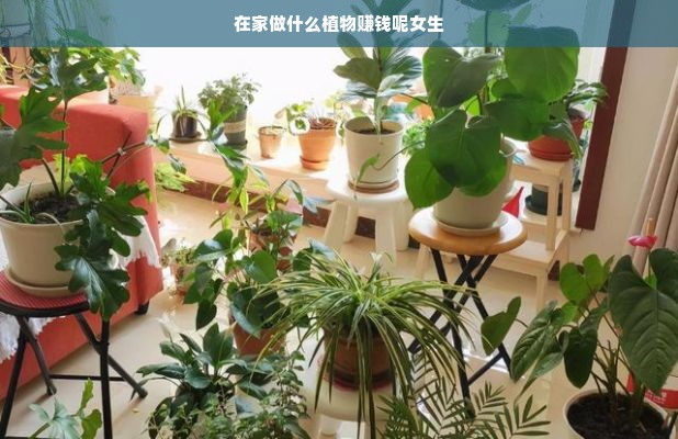 在家做什么植物赚钱呢女生